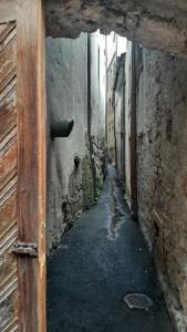 IMG-20241125-WA0043 (1)