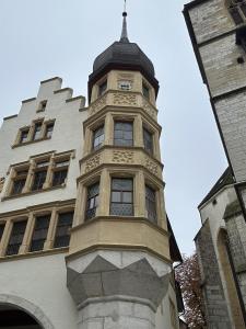 IMG 3329