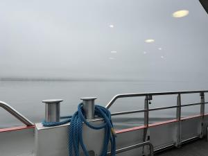 IMG 3364